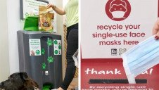 Pictured: The in-store collection boxes at Pets at Home (left) and Wilko (right)